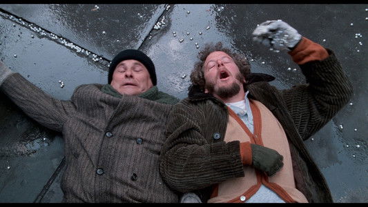 Home Alone 2: Lost in New York