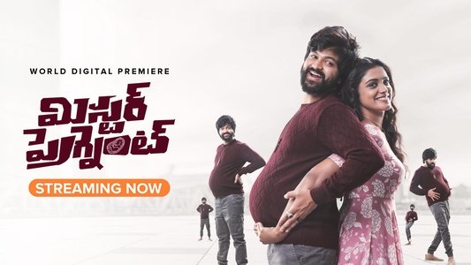మిస్టర్ ప్రెగ్నెంట్