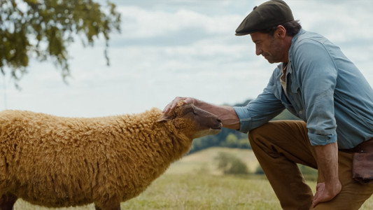 The Sheep Detectives