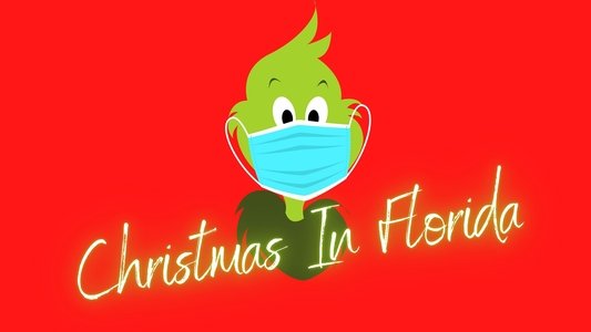 Christmas In Florida