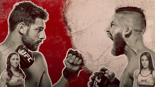 UFC Fight Night 159: Rodriguez vs. Stephens