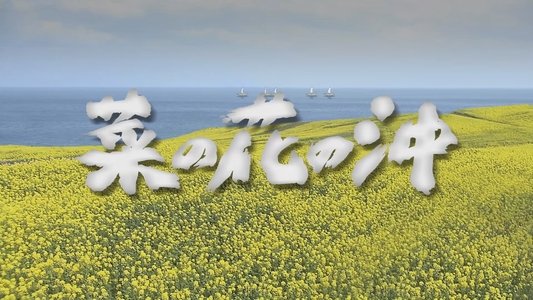 菜の花の沖