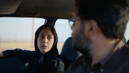 عنکبوت مقدس