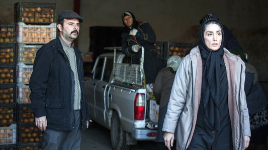 روزهای نارنجی