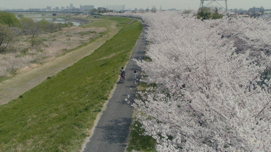 彼らが本気で編むときは、