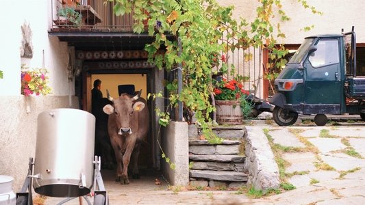 Das System Milch