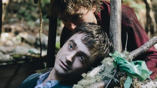 Swiss Army Man