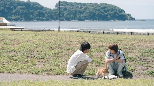 君となら恋をしてみても