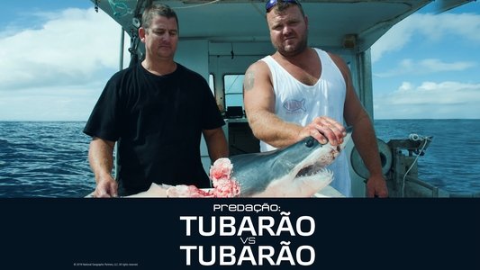 Cannibal Sharks