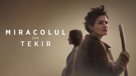 Miracolul din Tekir