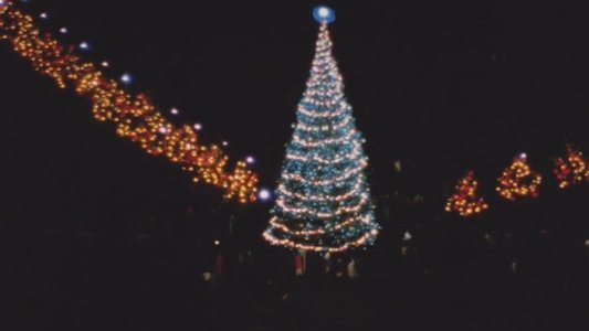 The National Christmas Tree, A Century of Celebration