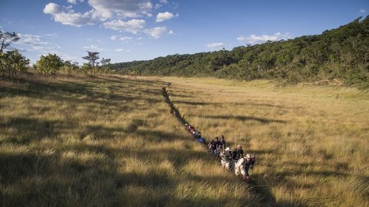 Into the Okavango