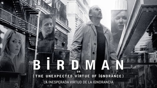 Birdman or (The Unexpected Virtue of Ignorance)