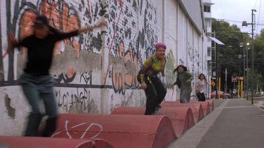 Territorio Skate