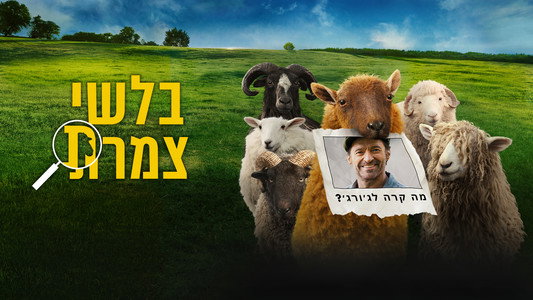 The Sheep Detectives