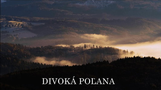 Divoká Poľana: Vlci z Poľany