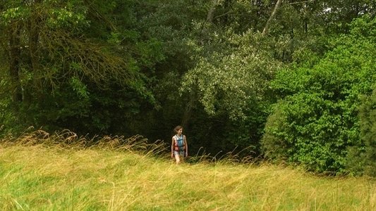 Contes de Juillet