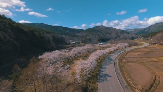 一陽来復