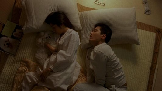 플란다스의 개