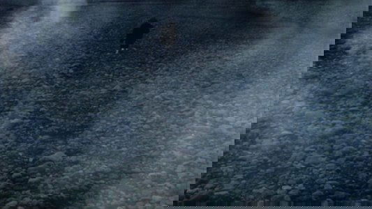 千利休 本覺坊遺文