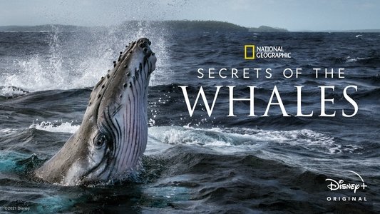 Secrets of the Whales