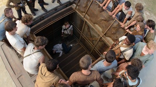 The Maze Runner