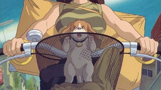 コロの大さんぽ