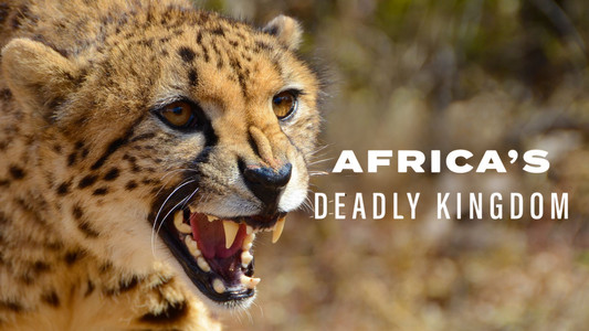 Africa's Deadly Kingdoms