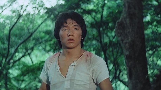 少林木人巷