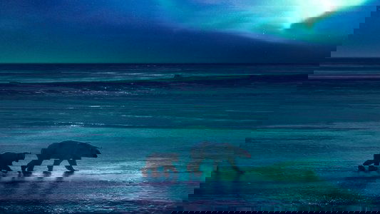 Frozen Planet II