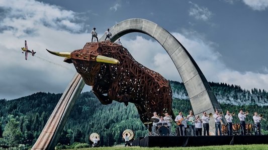 Drum The Bull