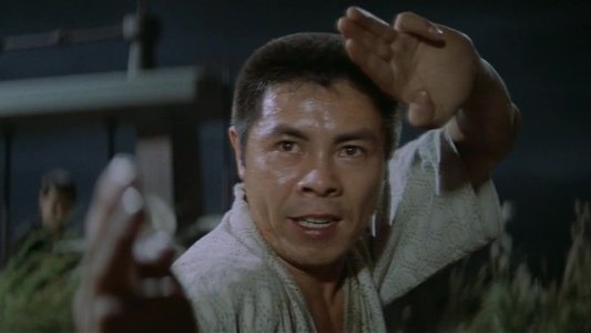 任侠柔一代