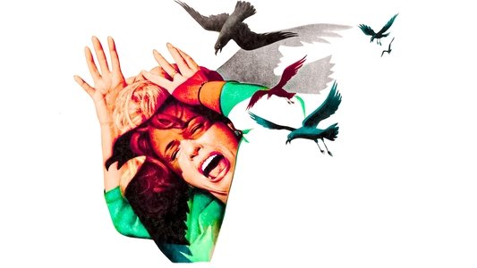The Birds