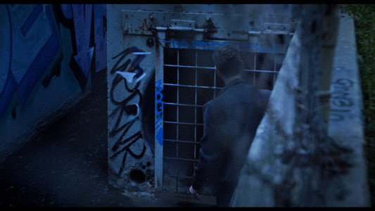 Dracula: The Night Around Us