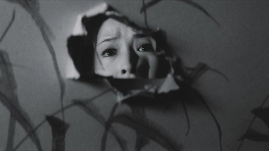 雁の寺