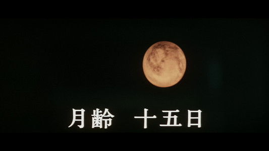 ウルフガイ 燃えろ狼男