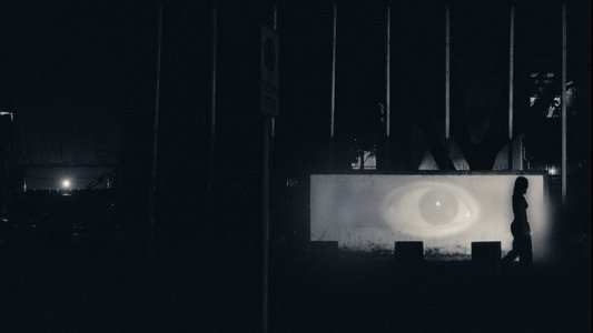 Don't Look Back