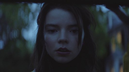 Thoroughbreds