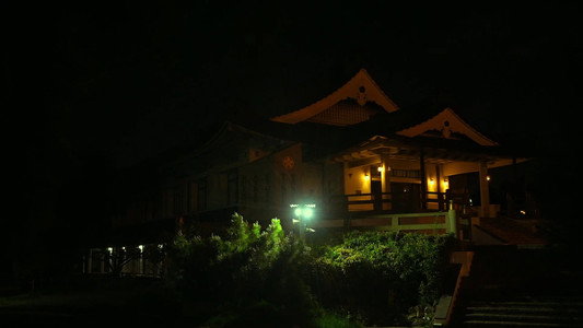 Shin Neko