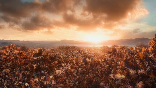 The Hobbit: The Desolation of Smaug