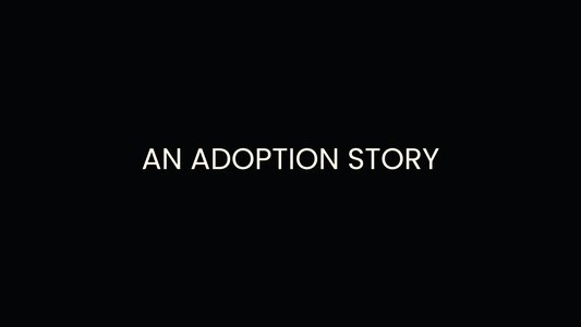 An Adoption Story