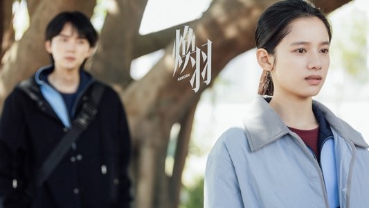焕羽