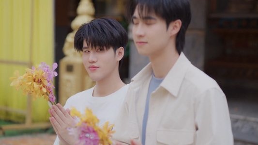 หมาน้อง