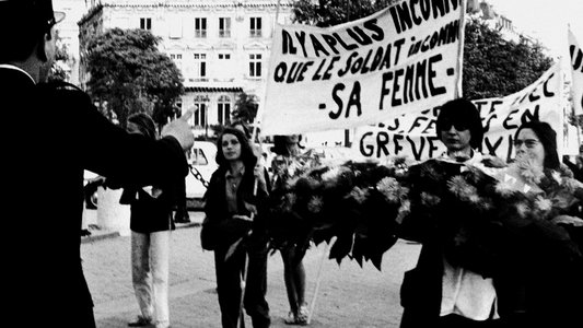 Delphine et Carole, insoumuses