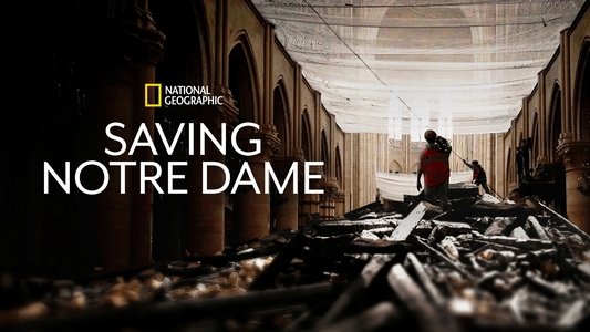 Saving Notre Dame
