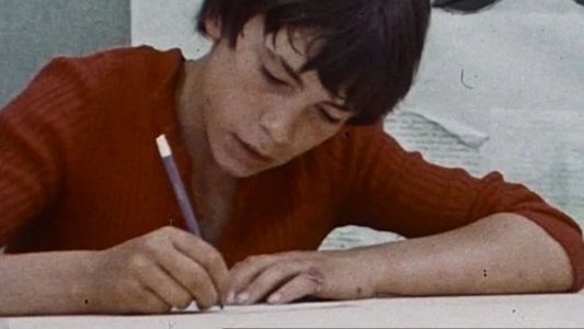 Diario di un maestro