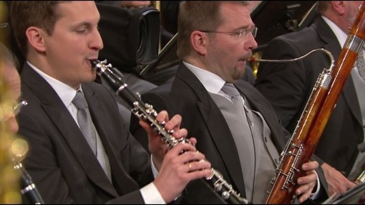 Neujahrskonzert der Wiener Philharmoniker 2015