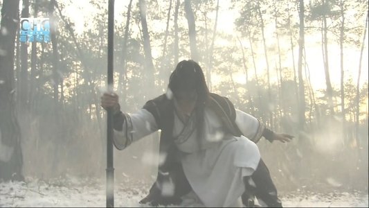 镖行天下前传8：烽火辽东