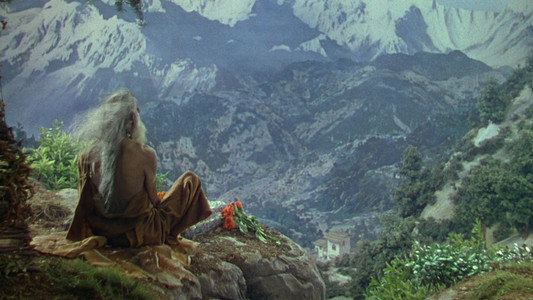 Black Narcissus