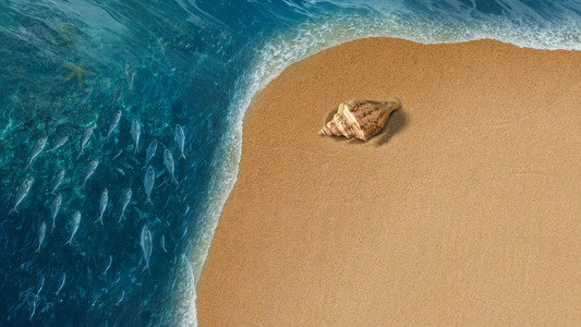 Moana